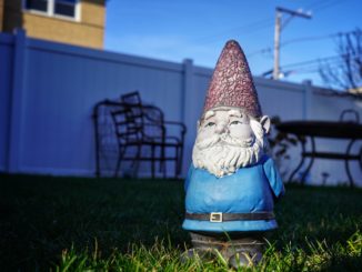 In Großbritannien werden die Gartenzwerge knapp