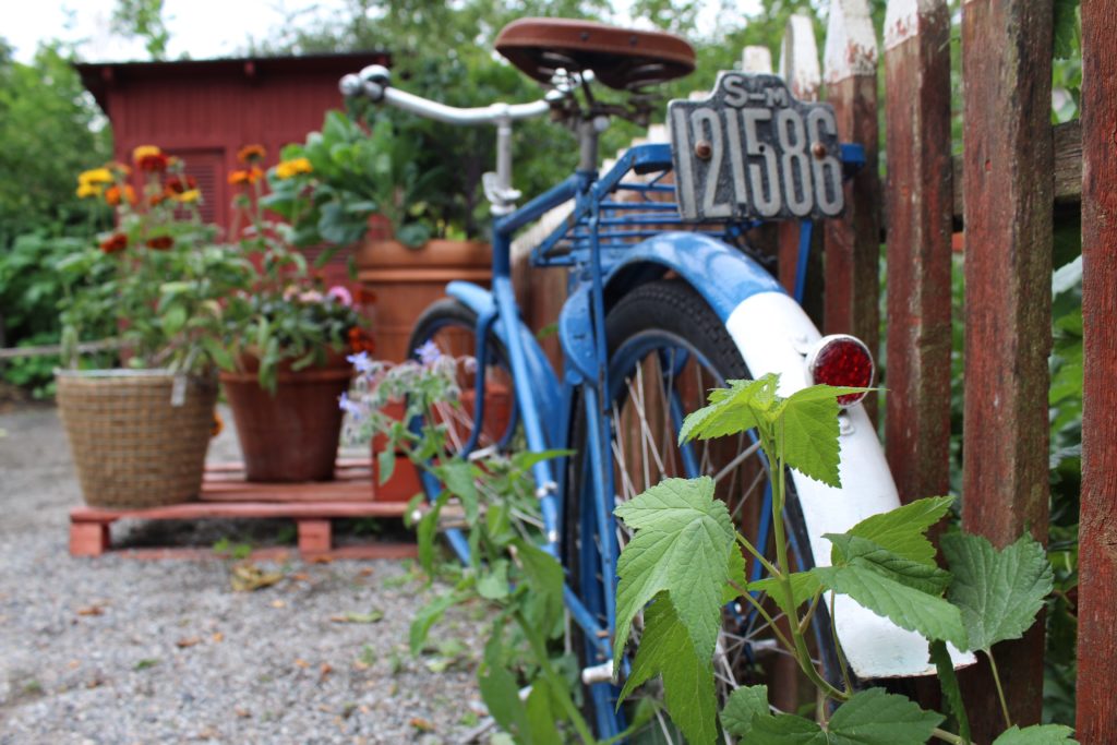 Durchschnittlicher Schrebergarten kostet zwischen 67 und 81 Euro Pacht im Jahr