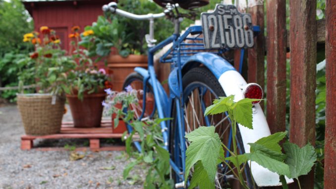 Schrebergarten - Bild: purpleperny via Twenty20