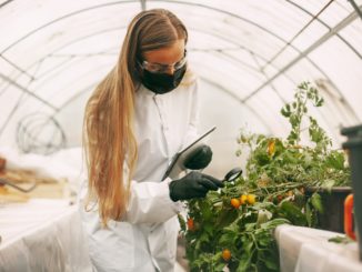 EU-Kommission will Weg für neue Gentechnik-Verfahren ebnen