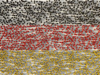 AfD setzt Parteitag fort – und fordert unter anderem EU-Austritt Deutschlands