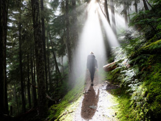 Studie: Jugendliche halten sich in Corona-Pandemie häufiger in Natur auf