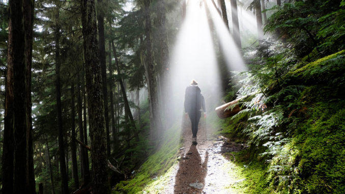 Natur - Bild: CamLee via Twenty20