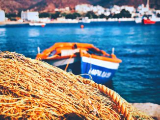 Handel ohne Zölle und Übergangszeit für EU-Fischer