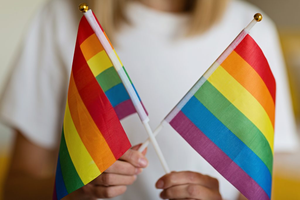 Gay Pride Flags - Bild: alinabuzunova via Twenty20