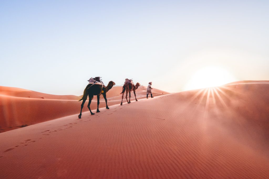 Sahara - Bild: epphotography via Twenty20