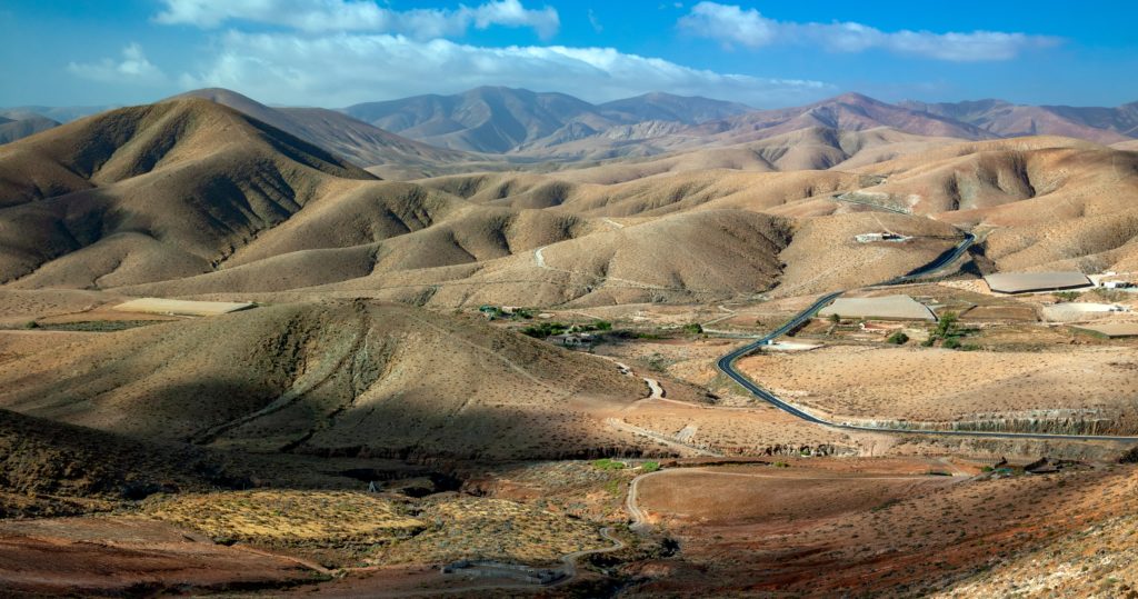 Wüstenbildung trieb Säugetiere vor Jahrmillionen aus Eurasien nach Afrika