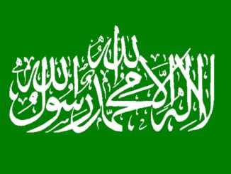 Union und SPD planen rasches Verbot der Hamas-Flagge in Deutschland