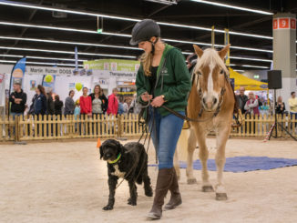 Consumenta 2021: Die Heimtier-Messe öffnet ihre Tore vom 5. bis 7. November!
