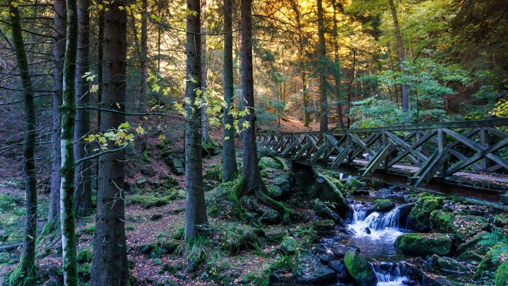 Ob Herbst oder Winter: Das sind die atemberaubenden Ausflugsziele im Schwarzwald