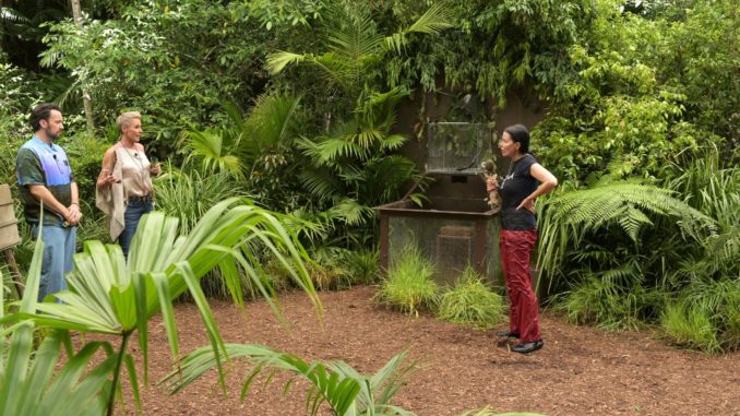 V.l.: Jan Köppen, Sonja Zietlow und Djamila Rowe. - Bild: RTL / Stefan Thoyah