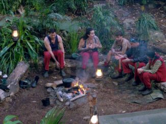 IBES 2023: Das Finale nähert sich mit großen Schritten: Die Stars ziehen Bilanz im Dschungeltelefon