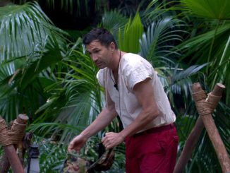 IBES 2023: Der Morgen nach dem großen Streit im Dschungelcamp