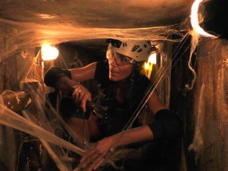 IBES 2023: Drei Sterne bei der Dschungelprüfung: Mit Ruhe und Gelassenheit im „Hor-Rohr“: Tessa Bergmeiers Tier-Talk im unterirdischen Kanalsystem