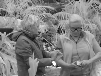 IBES 2023: Rundumschlag der „Blondies“ – Verena und Claudia lästern über den Zustand des Dschungelcamps!
