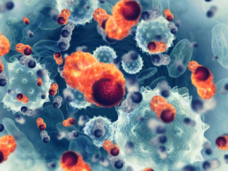 „Ein Wundermittel gegen Krebs wird es nicht geben“ – Metastasierenden Krebs verstehen und bekämpfen