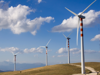 Stromerzeugung 2022: Ein Drittel aus Kohle, ein Viertel aus Windkraft