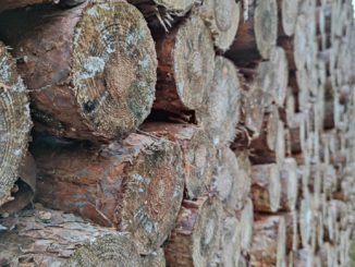 Forstwirtschaft kritisiert Verbot reiner Holzheizungen