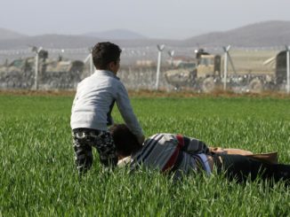 FDP erwartet bei Asylverfahren außerhalb Europas Mitarbeit der Grünen