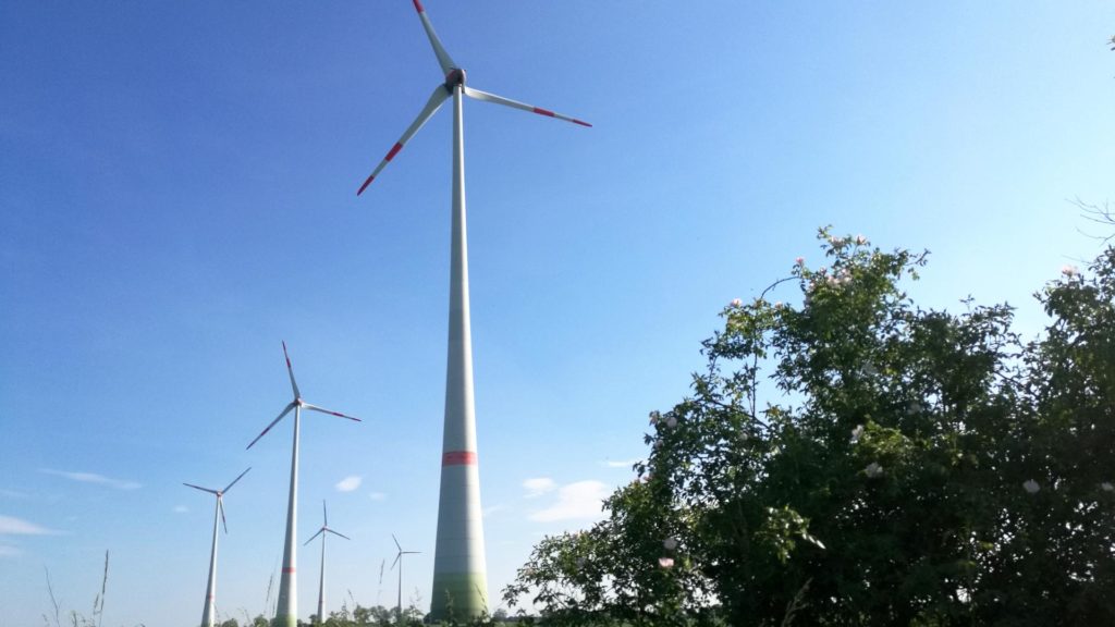 Windräder bei Tantow in Brandenburg (über dts Nachrichtenagentur)