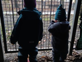 Grüne erwarten Einigung bei Kindergrundsicherung vor Sommerpause