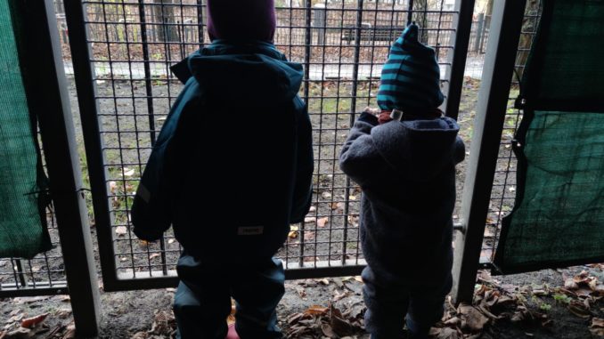 Kinder hinter einem Gitter (über dts Nachrichtenagentur)