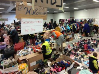 FDP will Sachleistungen statt Geld für Asylbewerber