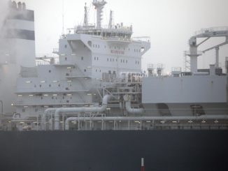 Grüne drängen Scholz zu Positionierung zu LNG-Terminal vor Rügen