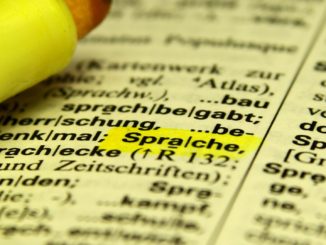 Familiennachzug bei Ehepaaren scheitert oft an Sprachkenntnissen