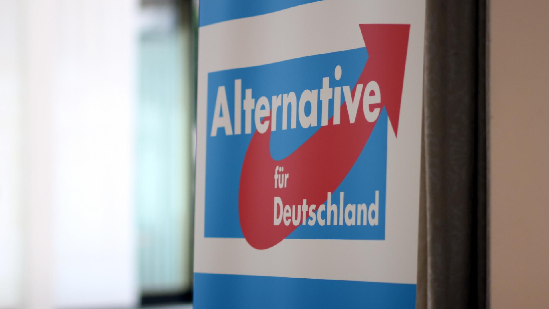 Alternative für Deutschland (AfD) (über dts Nachrichtenagentur)