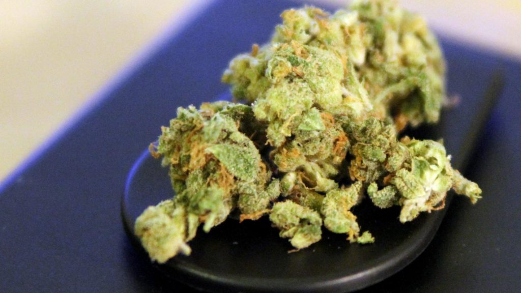 Cannabis (über dts Nachrichtenagentur)