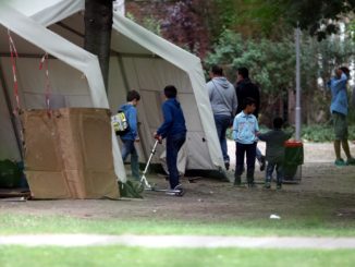 Grüne drängen auf Ende der Arbeitsverbote für Flüchtlinge