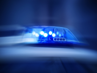 Umfrage zeigt: Mehrheit hält Durchsuchungen bei „Letzter Generation“ für richtig