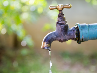 Dürre und Hitze: Städtebund rechnet mit Wasser-Rationierung im Sommer