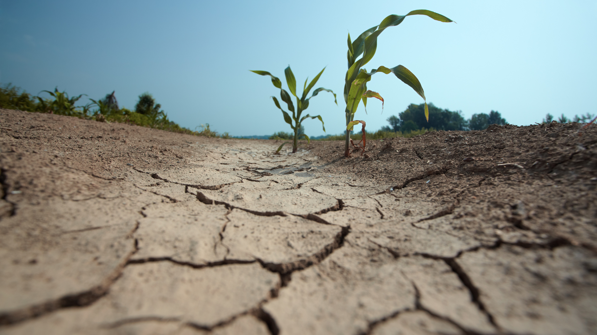 „Es braucht ein aktives Wassermanagement“: Städte- und Gemeindebund fordert effektive Maßnahmen gegen Dürre