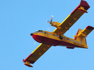 Waldbrände: Forstwirtschaftsrat verlangt mehr Löschflugzeuge
