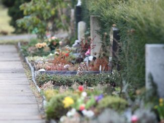 Sterbefallzahlen bleiben über dem Durchschnitt