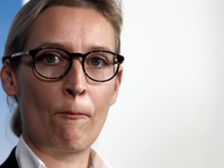 Forsa: AfD weiter im Umfragehoch – Union legt zu