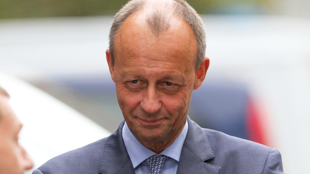 Friedrich Merz (über dts Nachrichtenagentur)