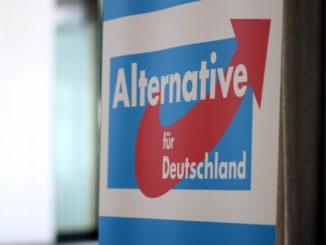 Ökonomen warnen vor Folgen des AfD-Umfragehochs