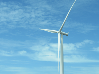 Grüner Strom hat die Nase vorne: Windkraft löst Kohle als wichtigsten Energieträger ab