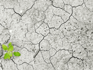 Bund will verbindliche Klimastrategien für Länder und Kommunen