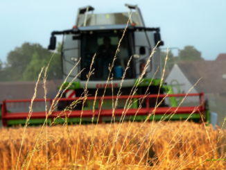Erzeugerpreise landwirtschaftlicher Produkte sinken weiter