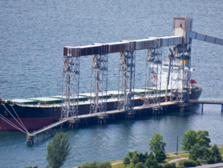 Rufe aus FDP nach militärischem Schutz für Getreideschiffe