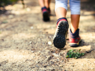 Wanderverband rät Politikern zu mehr Bewegung