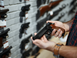 Rufe aus Linkspartei nach strengeren Waffengesetzen