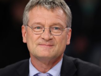 Meuthen hält AfD-Höhenflug für vorübergehende Entwicklung