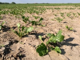 Studie: Klima-Sorgen in der Mittelschicht weit verbreitet