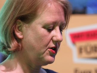 FDP übt scharfe Kritik an Arbeitsweise von Paus