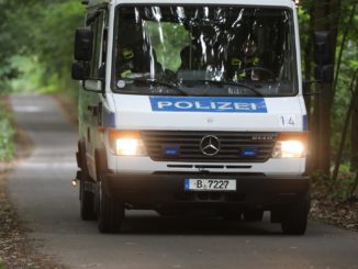 Potsdam: Ausgewertete Tierspuren stammen nicht von Löwin